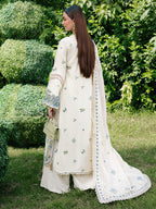 Mahnur 3 pcs Cotton and Shiffon